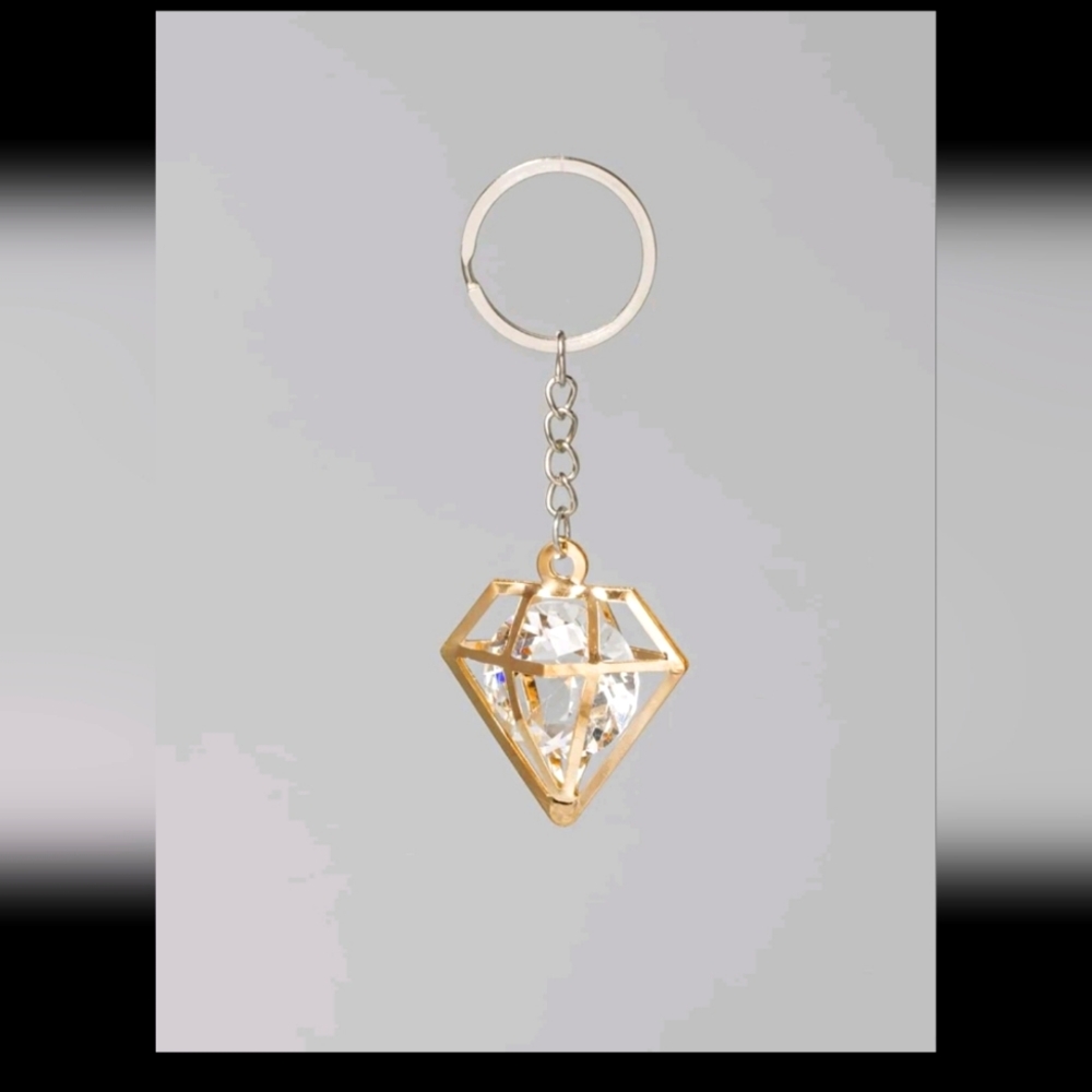 NWT key chain